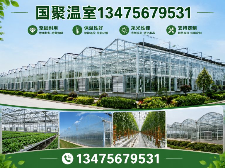 奎文区国聚温室展示图