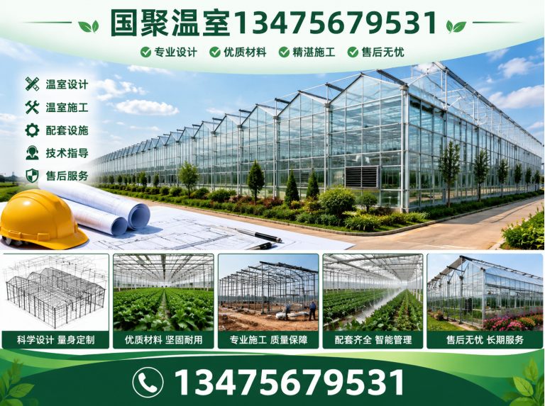 奎文区连栋薄膜温室展示图