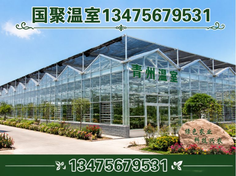 奎文区温室设计施工展示图